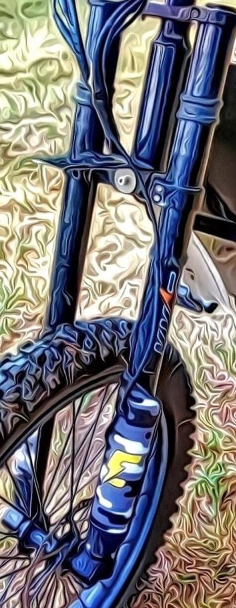 Forks