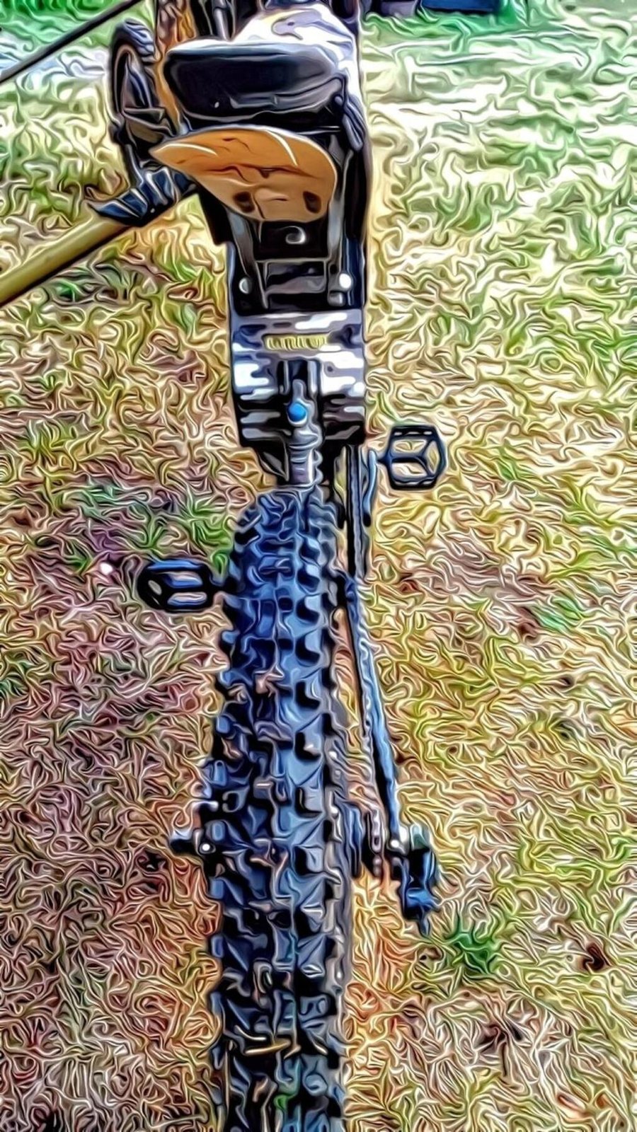 Rear