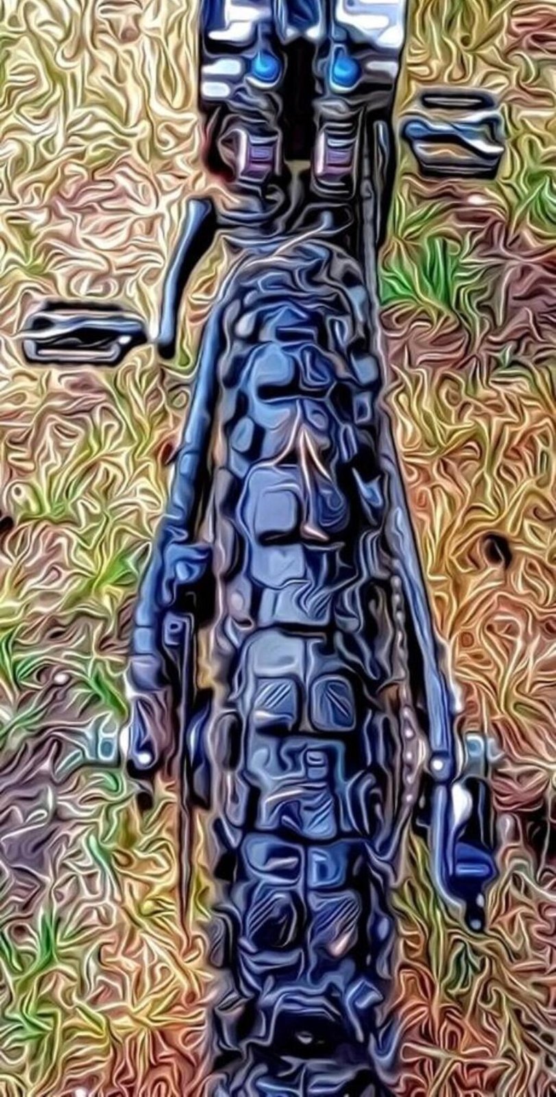 Rear tire close-up
